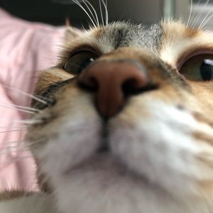 Meet your Posher, Becca